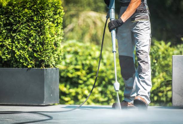 Animal Enclosure Cleaning in Tawas City, MI