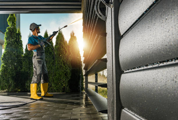 Best Soft Washing  in Tawas City, MI