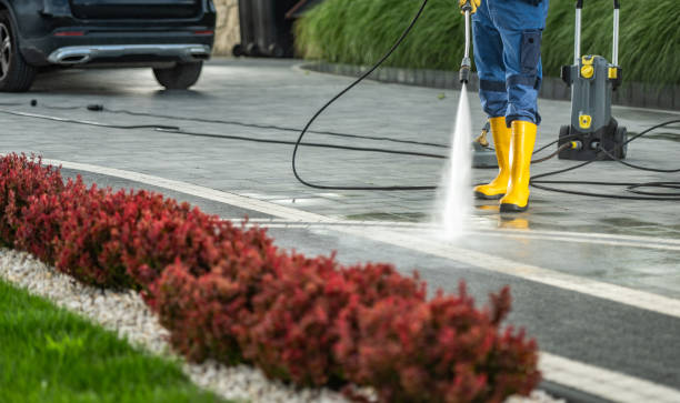 Best Solar Panel Cleaning  in Tawas City, MI